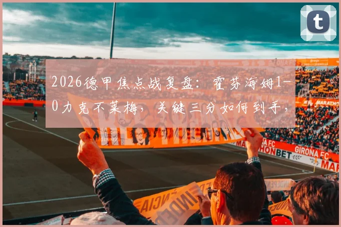 2026德甲焦点战复盘:霍芬海姆1-0力克不莱梅,关键三分如何到手,附两队赛季走势深度解读